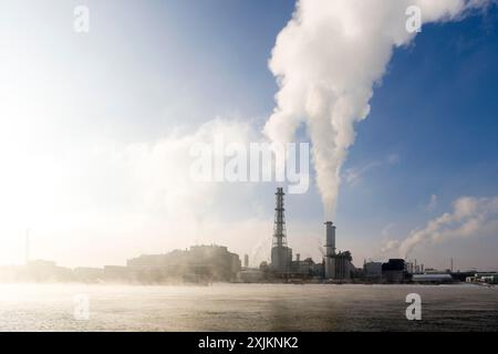 Stabilimento BASF sulle rive del Reno, società chimica, Foggy Mood, Ludwigshafen, Renania-Palatinato, Germania Foto Stock