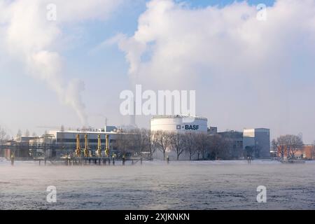 Stabilimento BASF sulle rive del Reno, società chimica, Foggy Mood, Ludwigshafen, Renania-Palatinato, Germania Foto Stock