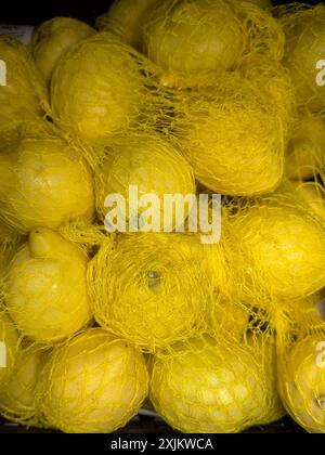Limoni (limone di agrumi) ecologici confezionati con imballo in rete di plastica in esposizione al fruttivendolo negozio di alimentari drogheria Foto Stock