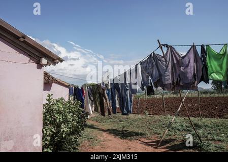 Appendere abiti sulla corda in giardino per asciugarsi Foto Stock