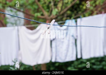 vestiti appesi in giardino per asciugarsi Foto Stock