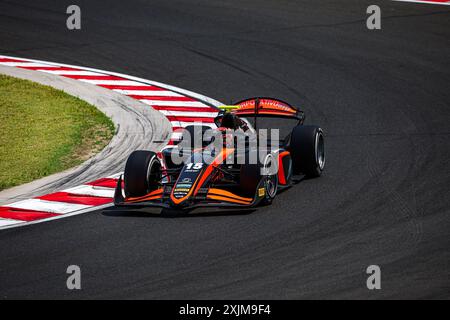 15 VILLAGOMEZ Rafael (mex), Van Amersfoort Racing, Dallara F2 2024, azione durante il 9° round del campionato FIA di Formula 2 2024 dal 19 al 21 luglio 2024 sull'Hungaroring, a Mogyorod, Ungheria - foto Xavi Bonilla / DPPI Foto Stock