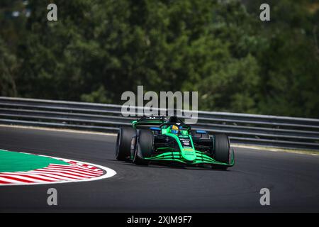05 MALONY Zane (bar), Rodin Motorsport, Dallara F2 2024, azione durante il 9° round del campionato FIA di Formula 2 2024 dal 19 al 21 luglio 2024 sull'Hungaroring, a Mogyorod, Ungheria - Photo Xavi Bonilla / DPPI Foto Stock