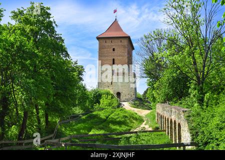 Rovine di un castello medievale a Melsztyn, Polonia. Foto Stock