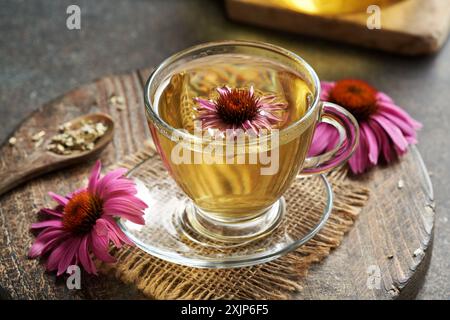 Tè Echinacea in una tazza di vetro trasparente con fiori freschi Foto Stock