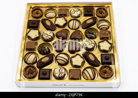 Scatola di Lindt praline al cioccolato. Cioccolato svizzero Foto Stock