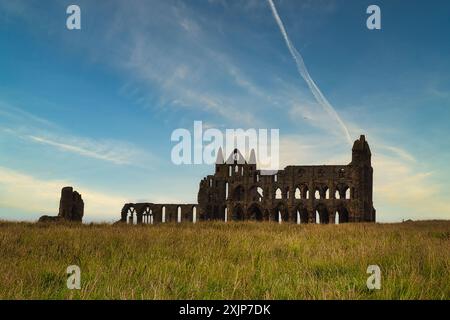 Rovine di un'antica abbazia in piedi su una collina erbosa sotto un cielo blu con nuvole e contrafforti. Foto Stock