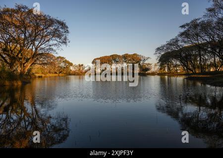 Immagine di una laguna sotto il sole con alberi sulle sue rive e riflessi nell'acqua Foto Stock