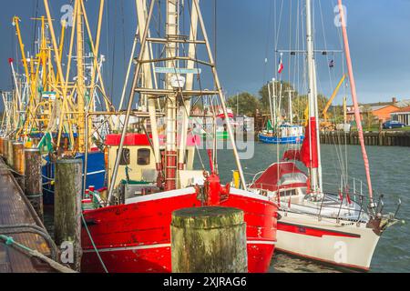 Pescherecci nel porto di Buesum, Schleswig-Holstein, Germania Foto Stock