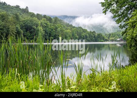 Montagne coperte di nebbia e splendido lago Trahlyta al Vogel State Park, nella foresta nazionale di Chattahoochee, nella Georgia settentrionale. (USA) Foto Stock