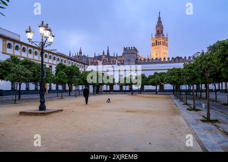 Vista del centro storico di Siviglia dal Patio de Banderas, situato all'interno delle mura del Alcázar di Siviglia. Sullo sfondo, la Giralda. Foto Stock