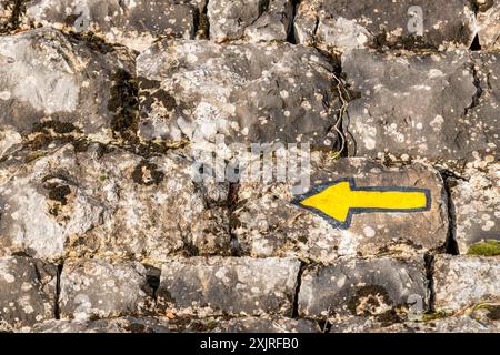 Marcatore del sentiero escursionistico dipinto su un muro nel cantone di Vaud Foto Stock