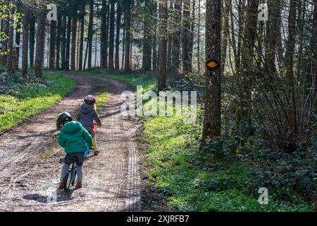 Young Girl and Boy on Balance Bikes vicino a un sentiero escursionistico segnalato nella foresta, Vaud Foto Stock