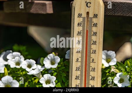 Un uomo tiene in mano un termometro di legno in giardino che indica una temperatura molto elevata - protezione contro il calore Foto Stock