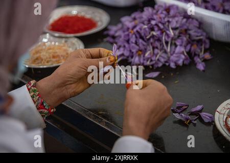 Le mani di una donna afghana Foto Stock