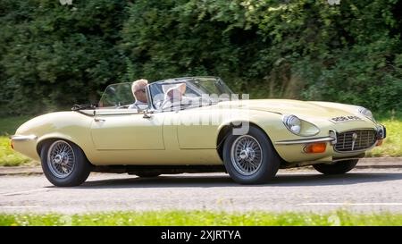 Milton Keynes, Regno Unito - 18 luglio 2024: Auto Jaguar di tipo e gialla 1972 che guida su una strada di campagna britannica Foto Stock