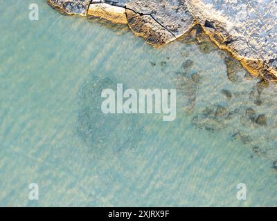 Pesci che girano nel fiume Murchison, nell'estuario di Kalbarri. Foto Stock