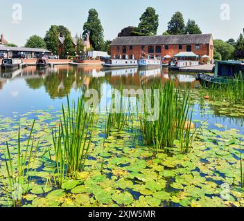 Le Lillie e le canne crescono lungo e attraverso l'acqua del canale mentre la forza inarrestabile della natura reclama il controllo di un mondo creato dall'uomo. Foto Stock