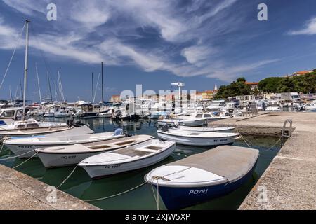 Pittoresco porto/porticciolo di Parenzo pieno di barche in estate, Parenzo, Penisola istriana, Croazia, Europa Foto Stock