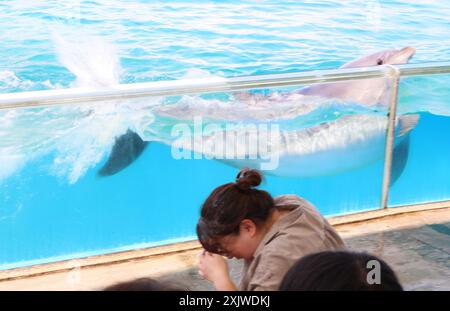 Yokohama, Giappone. 20 luglio 2024. Un delfino spruzza acqua agli ospiti per rinfrescarsi per un'attrazione estiva presso l'acquario Hakkeijima Sea Paradise a Yokohama, periferia sabato 20 luglio 2024. (Foto di Yoshio Tsunoda/AFLO) Foto Stock