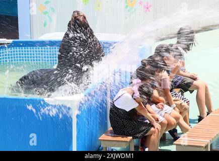 Yokohama, Giappone. 20 luglio 2024. Un sealion spruzza acqua agli ospiti per rinfrescarsi per un'attrazione estiva presso l'acquario Hakkeijima Sea Paradise a Yokohama, periferia sabato 20 luglio 2024. (Foto di Yoshio Tsunoda/AFLO) Foto Stock