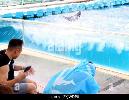 Yokohama, Giappone. 20 luglio 2024. Un delfino spruzza acqua agli ospiti per rinfrescarsi per un'attrazione estiva presso l'acquario Hakkeijima Sea Paradise a Yokohama, periferia sabato 20 luglio 2024. (Foto di Yoshio Tsunoda/AFLO) Foto Stock