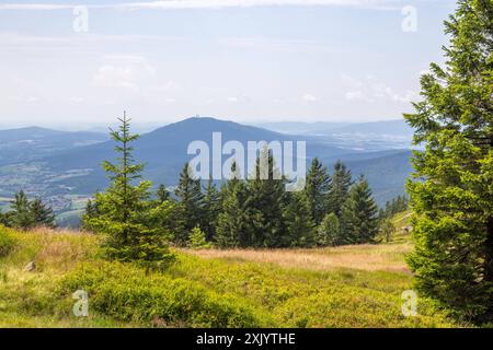 Sommer in Bayern Blick über die Osserwiese unterhalb des Kleinen Ossers nach Nordwesten., Lam Bayern Deutschland *** Estate in Baviera Vista sul prato Osser sotto il Kleiner Osser a nord-ovest , Lam Bayern Germania Foto Stock