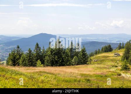 Sommer in Bayern Blick über die Osserwiese unterhalb des Kleinen Ossers nach Nordwesten., Lam Bayern Deutschland *** Estate in Baviera Vista sul prato Osser sotto il Kleiner Osser a nord-ovest , Lam Bayern Germania Foto Stock