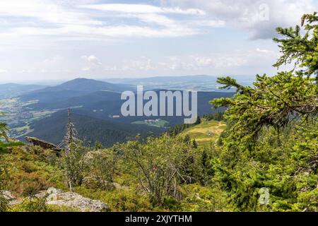 Sommer in Bayern Blick über die Osserwiese unterhalb des Kleinen Ossers nach Nordwesten., Lam Bayern Deutschland *** Estate in Baviera Vista sul prato Osser sotto il Kleiner Osser a nord-ovest , Lam Bayern Germania Foto Stock