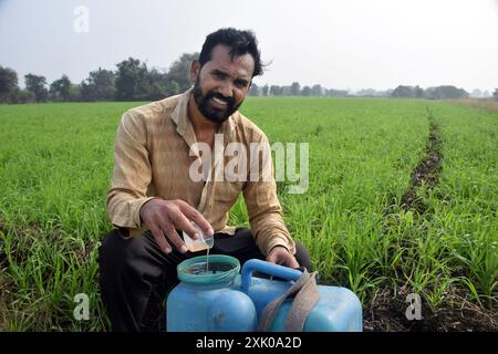 un agricoltore che versa erbicidi e sostanze chimiche nel dosatore in un campo verde Foto Stock