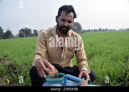 un agricoltore che versa erbicidi e sostanze chimiche nel dosatore in un campo verde Foto Stock