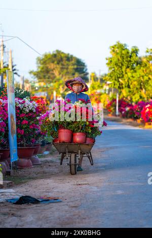 Provincia di Ben tre, Vietnam - 25 gennaio 2024: Persone che vendono fiori di bouganville a Cho Lach giardino di fiori a Ben tre, Vietnam. Preparazione del flowe di trasporto Foto Stock