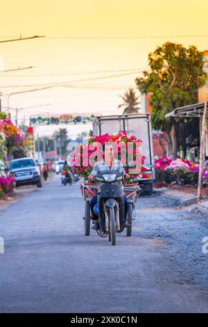 Provincia di Ben tre, Vietnam - 25 gennaio 2024: Persone che vendono fiori di bouganville a Cho Lach giardino di fiori a Ben tre, Vietnam. Preparazione del flowe di trasporto Foto Stock