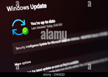 New York, USA - 19 luglio 2024: Aggiornamento di Microsoft Windows 11 sulla schermata del sito Web ufficiale Vista ravvicinata Foto Stock