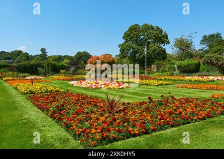 Colorate esposizioni di fiori nel giardino murato, Gadebridge Park, Hemel Hempstead, Hertfordshire, Regno Unito, a luglio Foto Stock