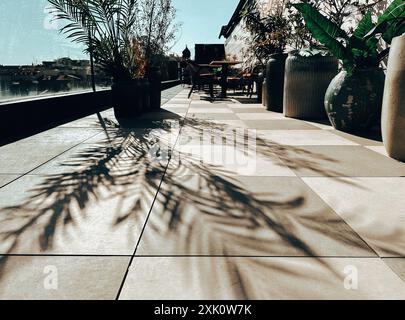 Una palma ornamentale cresce in una pentola sulla terrazza di un ristorante all'aperto in una giornata di sole. Ombre contrastanti di foglie sul pavimento. Tetto esposto alla luce del sole Foto Stock