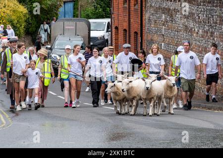 Overton Sheep Fair il 20 luglio 2024. Il tradizionale evento quadriennale si è svolto nel villaggio di Overton, Inghilterra, nel Regno Unito, nell'Hampshire, a partire da una pecora che ha guidato lungo la strada. C'erano molte bancarelle e intrattenimenti, tra cui balli Morris e una varietà di spettacoli di musica dal vivo. Nella foto: Le pecore hanno attraversato il centro del villaggio. Foto Stock