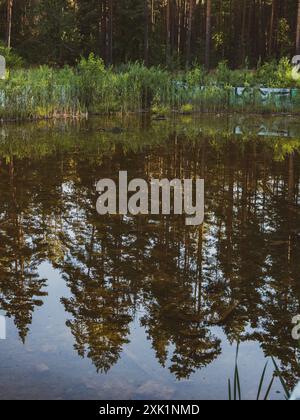 riflesso nell'acqua dalla piscina abbandonata Foto Stock