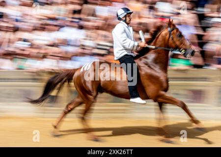 Il primo giorno del Palio, fantini e cavalli locali prendono parte a Una serie di "batterie". (Trials») in piazza, il Palio, Siena, Italia. Foto Stock