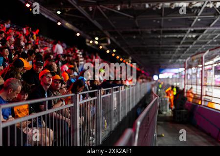 Londra, Royaume University. 20 luglio 2024. Tifosi durante l'ePrix di Londra 2024 di Hankook, decimo incontro del Campionato Mondiale ABB FIA Formula e 2023-24, sull'Excel London dal 18 al 21 giugno 2024 a Londra, Regno Unito - foto Javier Jimenez/DPPI Credit: DPPI Media/Alamy Live News Foto Stock