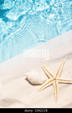 Delizia al mare. Una tranquilla scena balneare caratterizzata da una stella marina e una conchiglia di conchiglia sulla spiaggia sabbiosa vicino alle vivaci acque blu. Foto Stock