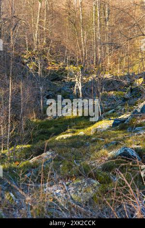 Poche piccole e gigantesche formazioni rocciose accanto al sentiero di montagna durante il giorno di sole in inverno Foto Stock
