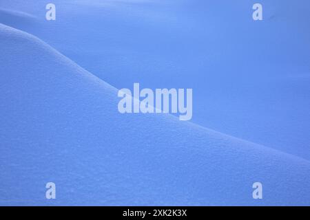 Questa immagine cattura le ondulazioni dolci e lisce di un paesaggio innevato a Lofoten, Norvegia, mostrando una tranquilla tonalità blu e una morbida texture Foto Stock