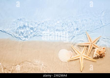 Stelle marine a Sandy Beach. Due stelle marine, conchiglie su una spiaggia tranquilla con acque cristalline Foto Stock