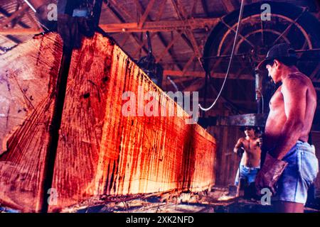 Lavoratori segheria nella foresta pluviale amazzonica - lavoro malsano e pericoloso, nessun dispositivo di protezione personale. Rio Branco, Stato di acri, Brasile. Foto Stock