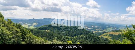 Vista panoramica dal picco Wysoka sulla Slovacchia a Pieniny (Polonia) Foto Stock