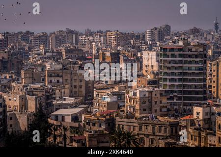 Il panorama aereo di Tripoli, la città nel nord del Libano, in Medio Oriente. Foto Stock