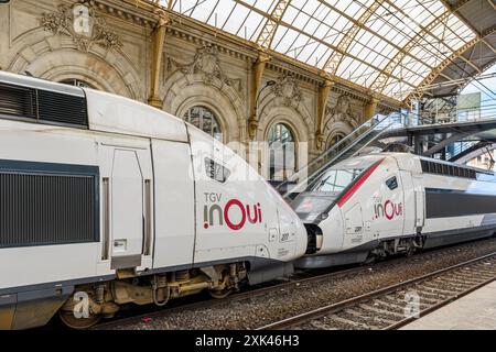 Treni TGV accoppiati alla stazione ferroviaria di Nizza, Nizza, Provence-Alpes-Côte d'Azur, Alpes-Maritimes, Francia Foto Stock