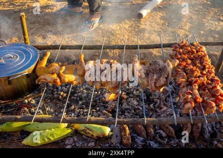 Delizioso kebab barbecue e polli grigliati sulla griglia aperta. Concetto di cibo e campeggio Foto Stock