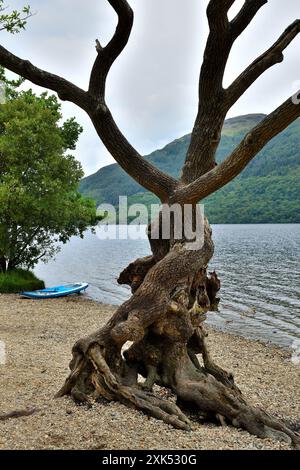 Loch Lomond da Firkin Point Foto Stock